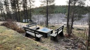 Varukorg 12